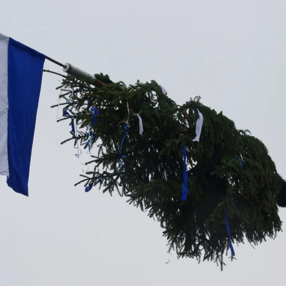 20100501_maibaumaufstellen_28.jpg