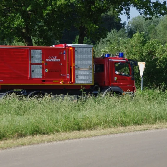 20100611_katschutzpaf_28.jpg