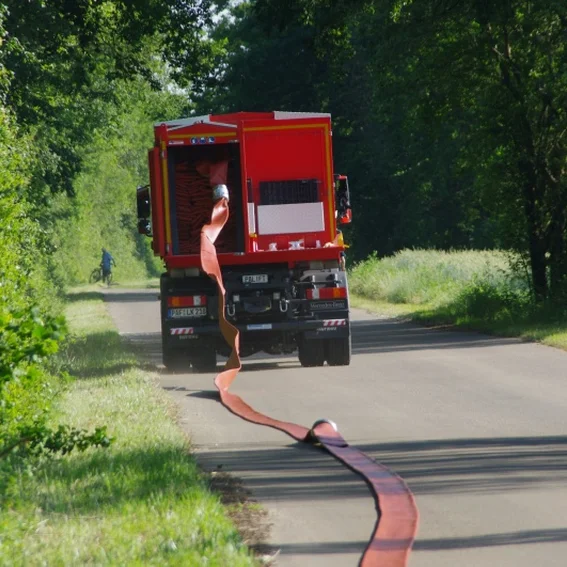 20100611_katschutzpaf_61.jpg