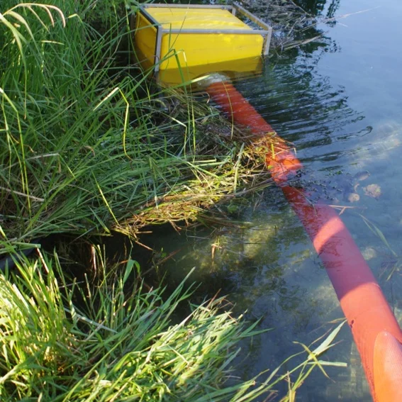 20100611_katschutzpaf_74.jpg