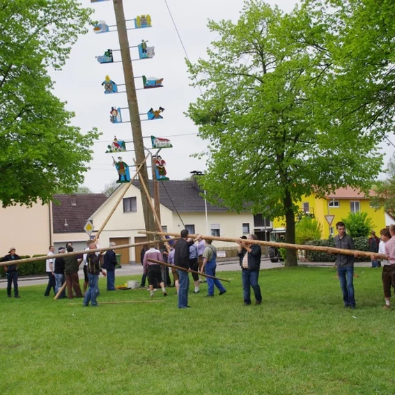 20100501_maibaumaufstellen_40.jpg